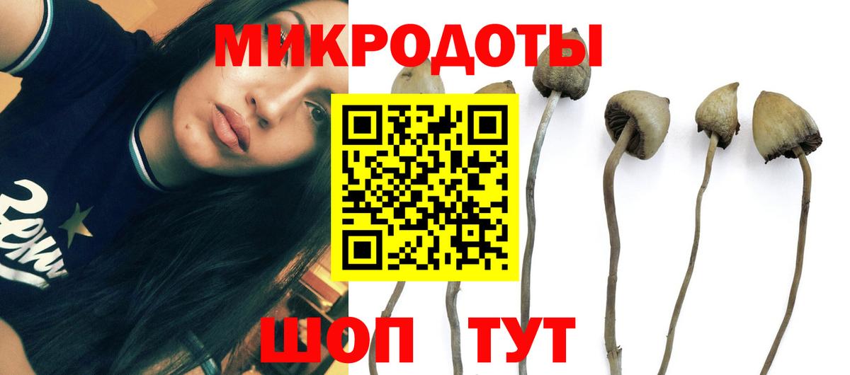 Галлюциногенные грибы GOLDEN TEACHER  Вход с VPN  Берёзовский 